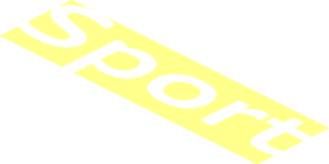 ~Logo Audi "Sport" Text Outer Box