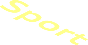 ~Logo Audi "Sport" Text