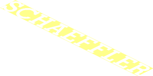 Logo Schaeffler - Outer Box
