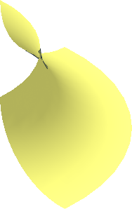 Hi-Res Torus Inside  1 x 0.4000 x 0.25