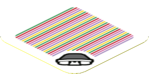 Sticker 1.8 x 1.8 with Bar Code and Bony Beetle