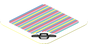 Sticker 1.8 x 1.8 with Bar Code and Dolphin