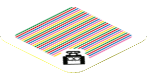 Sticker 1.8 x 1.8 with Bar Code and Toady