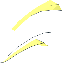 ~Animal Toucan Beak without Patternable Surfaces - Half ~Animal Toucan Beak without Patternable Surfaces - Half