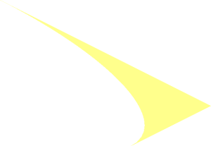 Logo Ford Outer Box - Quarter