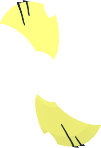 ~Minifig Shield Round Bowed Wooden Panels Pattern