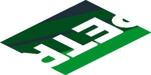 ~Sticker  0.8 x  4.0 with White "PETRONAS" on Black and Green Background Left - Second Face