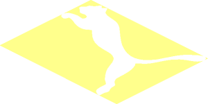 Logo Puma Image Outerbox