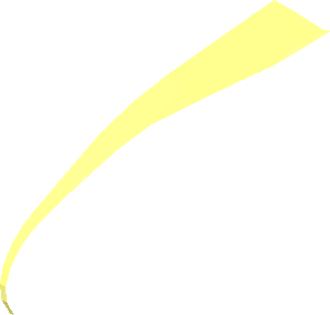 ~Animal Bird Head Upper Jaw - Patternable Surfaces, Top