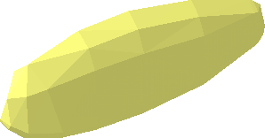 ~Animal Shark Hammerhead Head Eye Area