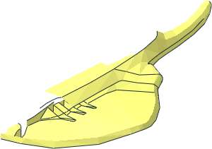 ~Animal Stingray Half without Patternable Surface