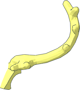 ~Animal Reindeer Antlers Half