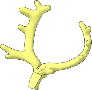 ~Animal Reindeer Antlers