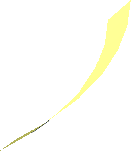 Hi-Res Cone 16 x 0.125