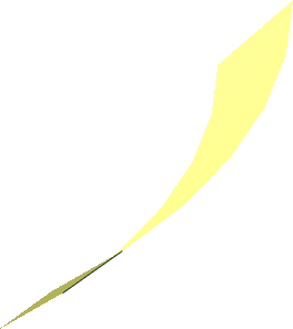 Hi-Res Cone 10 x 0.125