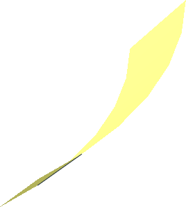 Hi-Res Cone  8 x 0.125