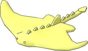 Animal Manta Ray