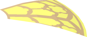 ~Dish  4 x  4 Inverted with Notre Dame Window Pattern - 1 / 4