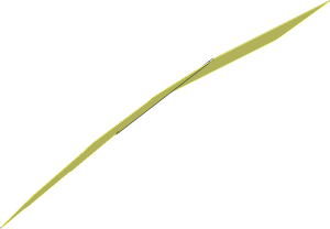 Sticker  0.9 x  5.4 with Dark Red Peeling Paint Right Model(Formed)