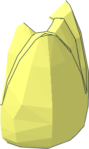 ~Plant Flower Tulip - Half