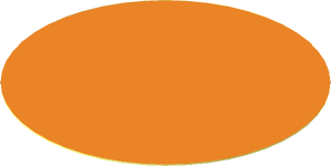 Sticker  2.5 x  2.5 Round with Orange Surface