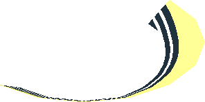 ~Dish  2 x  2 Black Nevermore Academy White Border Half Pattern ~Dish  2 x  2 Black Nevermore Academy White Border Half Pattern