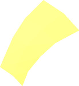 ~Animal Bird Songbird Forehead Area Half