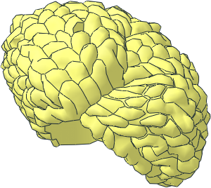 Minifig Hair Coiled Parted