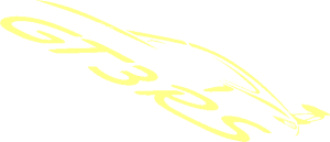 Logo Porsche GT3RS Silhouette