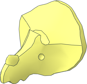 Animal Dinosaur Head Triceratops Animal Dinosaur Head Triceratops