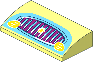 Slope Brick Curved  2 x  4 with Underside Studs with Magenta Car Grille, Yellow Lights and Star Sticker