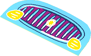 Sticker  1.4 x  3.9 D-shape with Magenta Car Grille, Yellow Lights and Star (Formed)