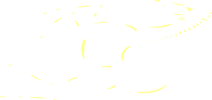 Logo Ferrari Horse Details High Resolution