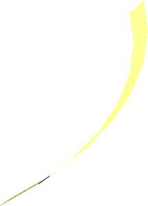 Hi-Res Cone 32 x 0.1458