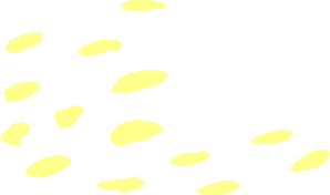 ~Pattern Strawberry - Seeds