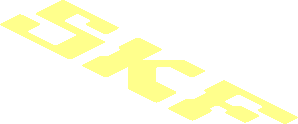 Logo SKF Text