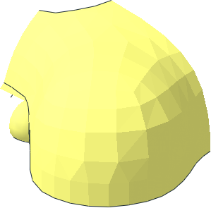 ~Duplo Bone - Quarter