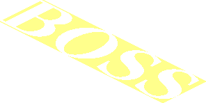 Logo Boss Text Box From 1924 To 2021