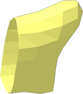 ~Animal Fish Body Caudal Fin Patternable Surfaces