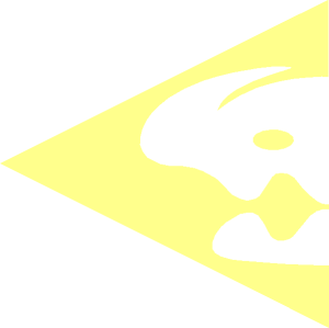 ~Tile  2 x  2 with White Viking Skull Pattern half