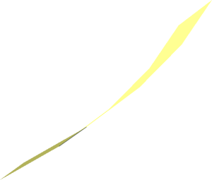 Hi-Res Cone 20 x 0.0833