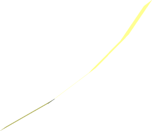 Hi-Res Cone 64 x 0.0833