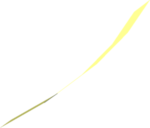 Hi-Res Cone 31 x 0.0833