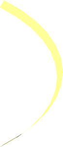 Hi-Res Cone 33 x 0.25