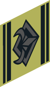 ~Flag  2 x  2 with Silver Ox Head Symbol Pattern - Single Side