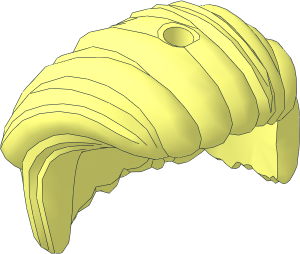 Minifig Hair Mid-Length, All Swept to Right Side, Hole on Top