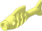 Animal Fish Skeleton
