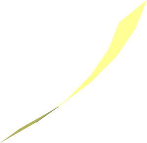 Hi-Res Cone 15 x 0.1042