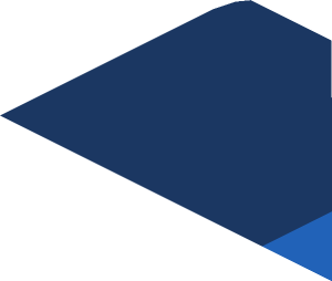 ~Sticker  0.8 x  1.7 with Light Blue and White Triangles on Blue Background Right - Seecond Face