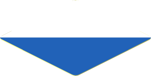 Sticker  1.8 x  1.8 with Blue and White Diagonal Halves